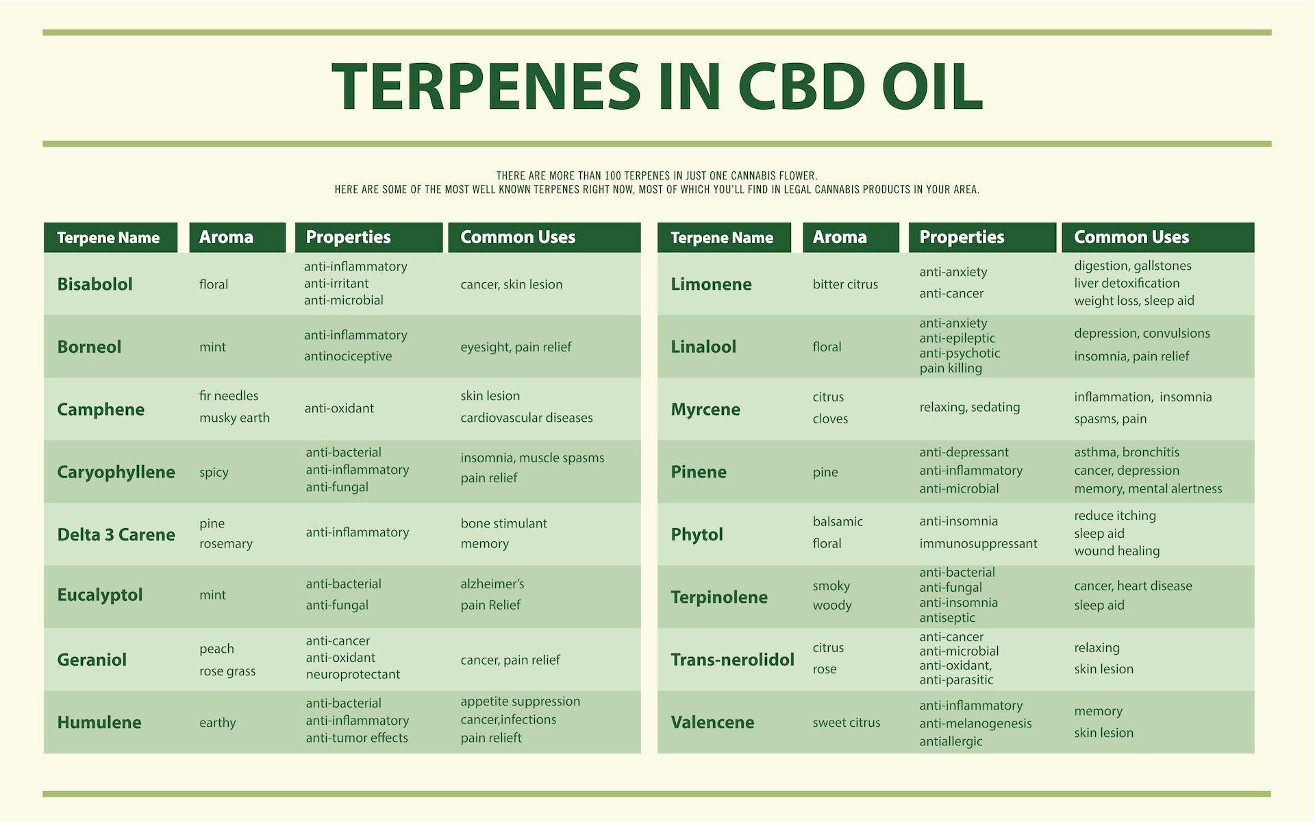 Let's Talk Terpenes!