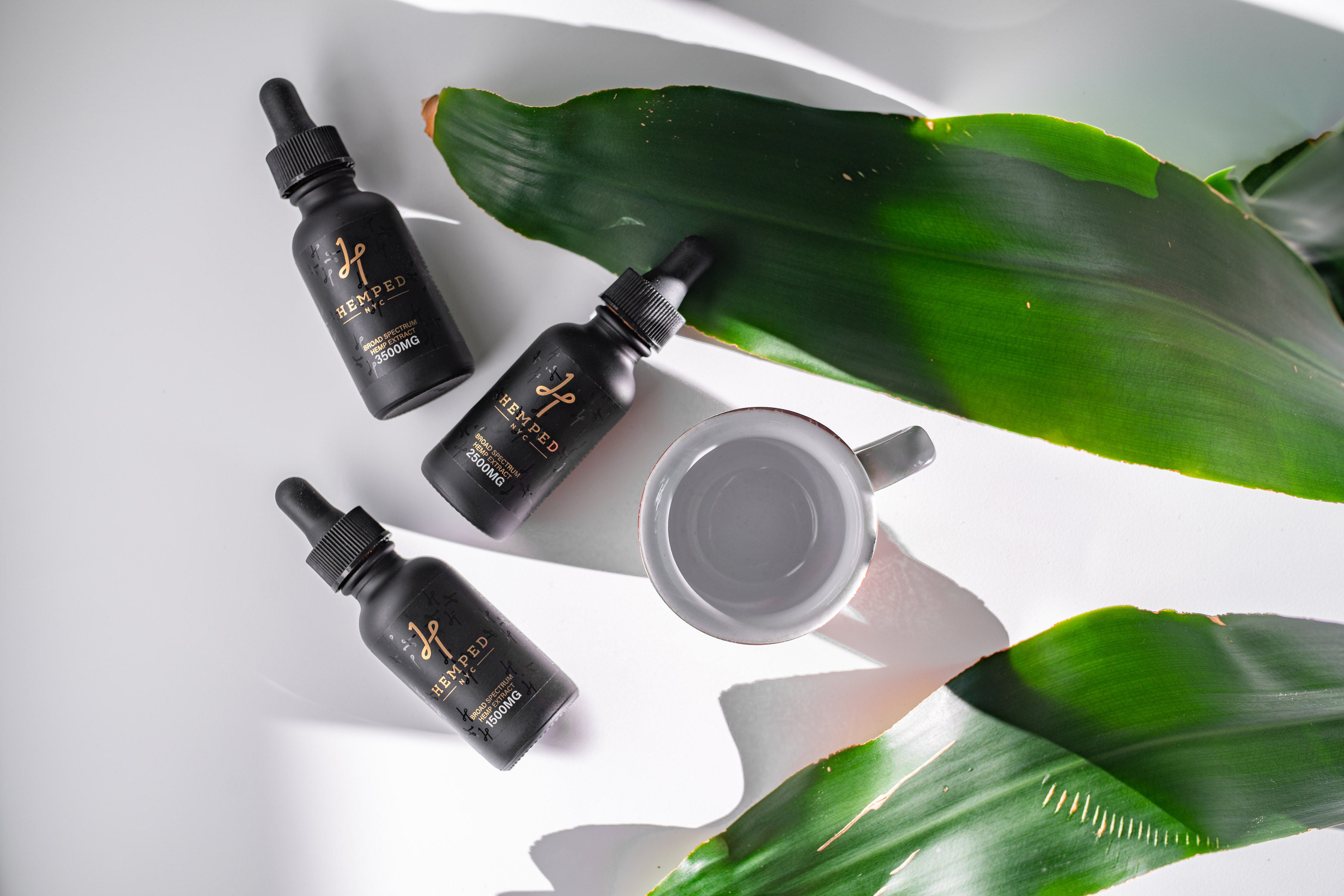 CBD & Other Medications